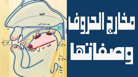 صور متحركه لمخارج الحروف وصفاتها pdf