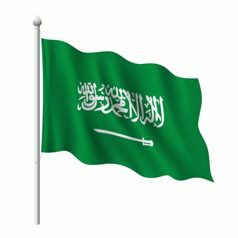 علم السعودية pdf