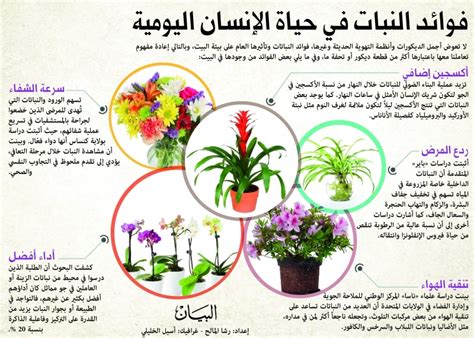 فوائد النباتات
