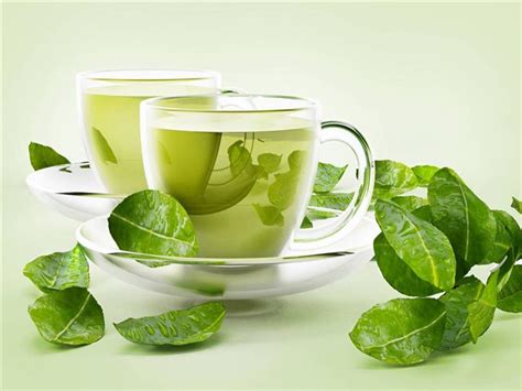 فوائد شرب الشاي الأخضر قبل النوم، أفاد المختصون في علم التغذية أن الشاي له قدرة على تحسين نوم الإنسان، حيث أنه يحتوي على