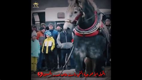 قصة الخيول الاعوجيه مع الحسين