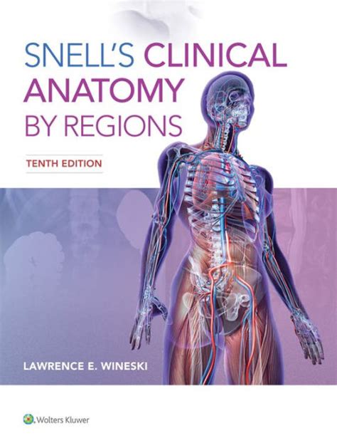 كتاب clinical anatomy by region pdf