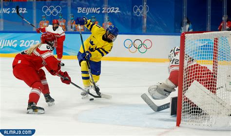 كم عدد اللاعبين في فريق هوكي الجليد، يوجد الكثير من أنواع الرياضات في العالم، والتي يتم تنظيم أهم البطولات لها في جميع أنحاء العالم،