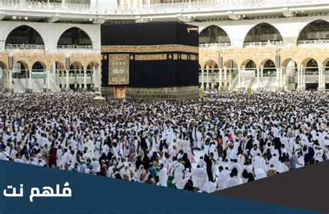 كم عدد المعتمرين في رمضان 2023، يتساءل عدد كبير من المهتمين عن استعدادات المملكة لموسم الحج المقبل، خاصة بعد النجاح