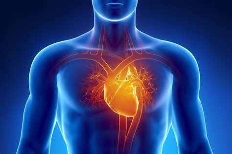 كم يعيش مريض ضعف عضلة القلب؟؟