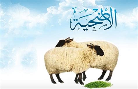 ماهي شروط نحر عيد الأضحى