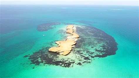 ما أبرز جزيرة في المملكة العربية السعودية، حيث تحتوي المملكة العربية السعودية على مئات الجزر المتناثرة على طول سواحلها