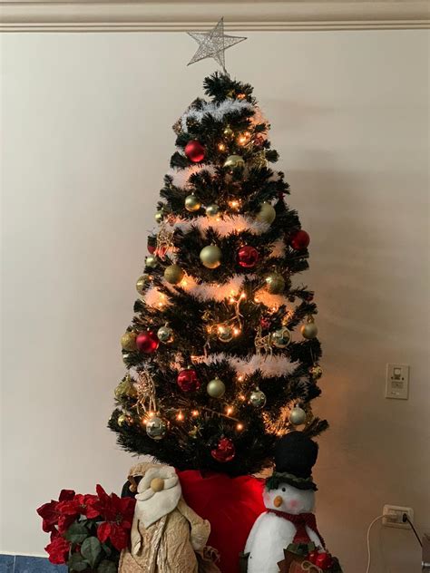 ما اسم شجرة عيد الميلاد