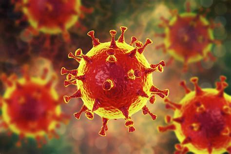 ما الذي يصف معظم أنواع الفيروسات ؟، حيث تنتشر الميكروبات من حولنا بمختلف أنواعها سواء كانت هذه الميكروبات فيروسات أو بكتيريا أو غيرها من