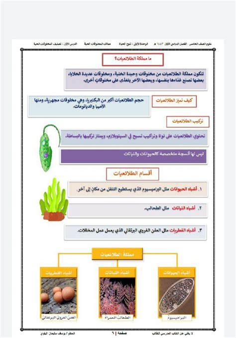 ما الذي يصنف المخلوقات الحية في مملكة الطلائعيات