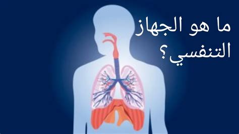 ما هو الجهاز التنفسي