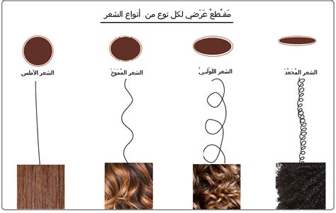 ما هي أنواع الشعر