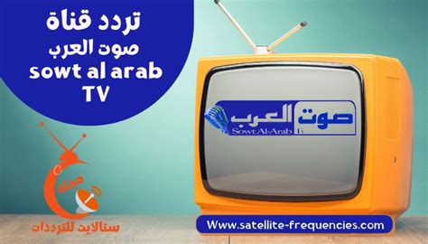 ما هي مزايا ومقومات نجاح قناة صوت العرب