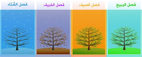 متى سينتهي صيف 2023 وتواريخ انتهاء الفصول الأربعة في المملكة العربية السعودية، لأن درجات الحرارة بدأت تزداد مع الوقت، وبدأ مواطنو المملكة