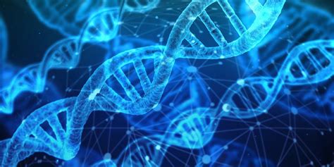 من هو مؤسس علم الوراثة،  يعتبر  عِلم الوراثة بأنه علم مختص بدراسة الجينات وما تتوارثه الكائنات الحية من صِفات
