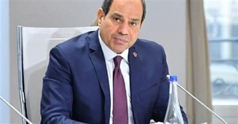 من هو نائب رئيس مجلس الدولة المعزول من السيسي،يعتبر نائب رئيس الدولة في جمهورية مصر العربية أحد الشخصيات المهمة في مختلف المناصب العليا في