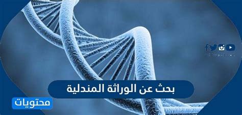 موضوع بحث عن الوراثة المندلية