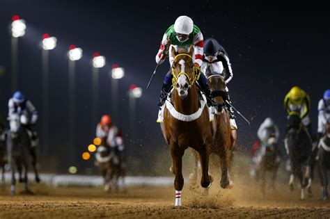 موعد وتفاصيل برنامج سباقات الخيل في الإمارات