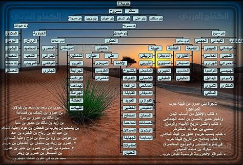 نسب قبيلة حرب في العهد النبوي