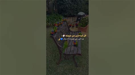 نقصانه