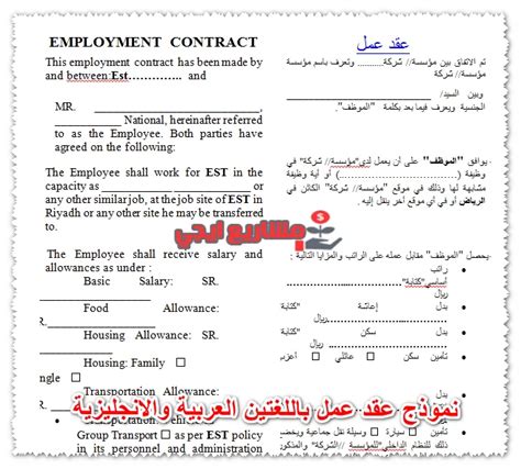نموذج عقد عمل مصرى باللغتين العربية والانجليزية pdf