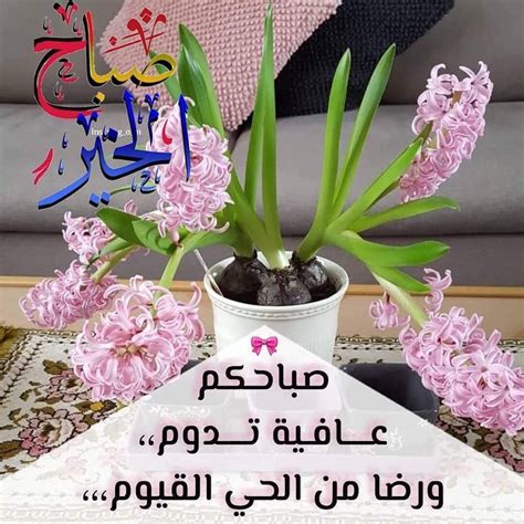 وسعادة