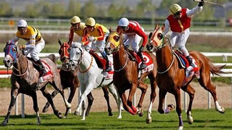﻿Asya bahis 34: Perşembe zmir 6 Koşu At Yarışı Sonuçları