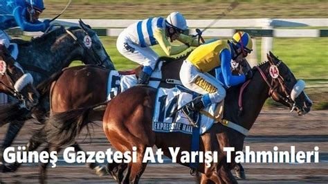 ﻿At yarışları için yapılan bahis bileti: Güneş Gazetesi At Yarışı Tahminleri 25, 26, 27 Kasım 2021