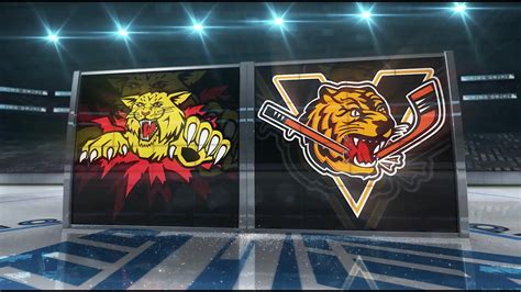 ﻿Canlı bahis maç sonuçları: Victoriaville Tigres Moncton Wildcats canlı skor, video
