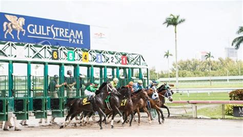 ﻿Gulfstream park bahis oranları: 4 OCAK GULFSTREAM PARK YURTDIŞI VERLERNE GÖRE