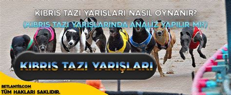 ﻿Kıbrıs köpek yarışları bahis: Tazı Yarışlarında statiksel Verilerin Önemi