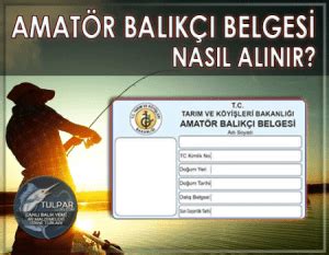 ﻿Poker fişi nereden alınır: Amatör Balıkçılık Belgesi Nasıl Alınır?   Gerekli Belgeler