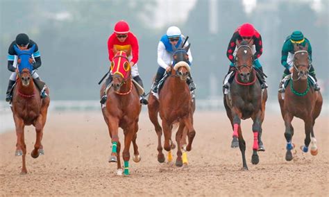 ﻿Sirali 5 li bahis nasil oynanir: At Yarışı Sıralı Bahsi Nasıl Oynanır? arşivleri   Enzabet