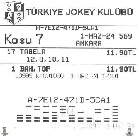 ﻿Tabela bahis nasıl tutturulur: At Yarışı Nasıl Oynanır?   At Yarışı Tahmini