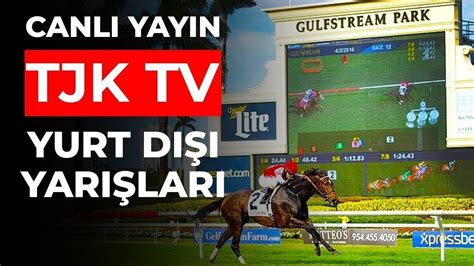 ﻿Tjk yabancı erken bahis oranları: Tjk Tv izle Hipodrom tv izle Tay Tv izle At yarışı yorumları