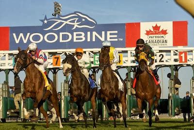 ﻿Yurtdışı bahis oranları tjk: Kanada woodbine tahminleri At Yarışı