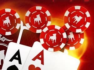 ﻿Zynga poker bilet ne işe yarar: Kişisel Veri Talepleri Zynga
