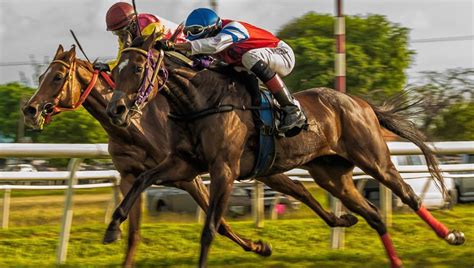 ﻿at yarışı canlı bahis: at yarışı canlı bahis nasıl oynanır? at yarışı zlerken