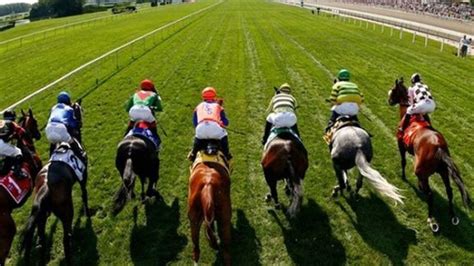 ﻿at yarışları için yapılan bahis bileti: at yarışları müşterek bahisler yönetmeliği   konsolide