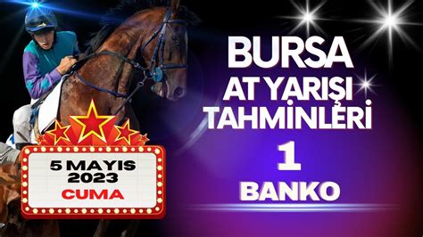 ﻿bahis tahmin 5: otorite yazarların bursa at yarışı, altılı tahminleri (5)