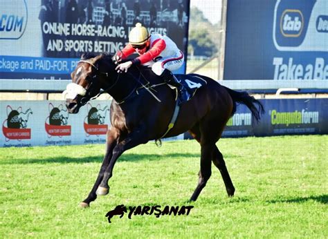 ﻿greyville erken bahis oranları: 01 eylül greyville at yarışı tahminleri ve bahis oranları