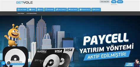 ﻿paypal ile ödeme kabul eden bahis siteleri: paypal ile alışveriş yapılabilen türk alışveriş siteleri