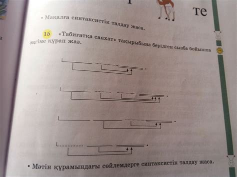  Бовада сызыклары.