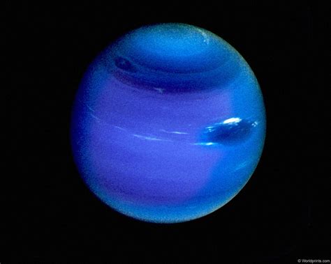  Нептун күтәрелү урыны