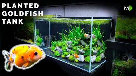  Слот Golden Fish Tank