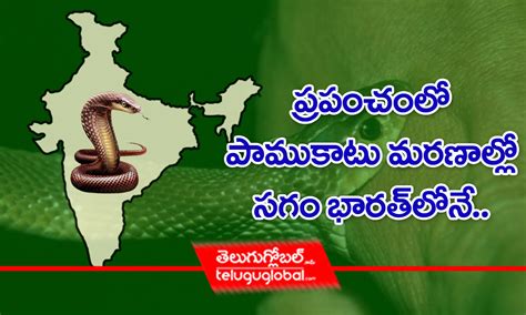  పాముకాటు స్లాట్