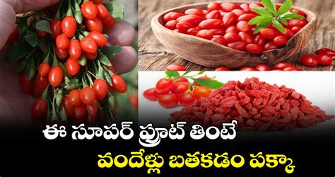  ఫ్రూట్ సూపర్ నోవా స్లాట్