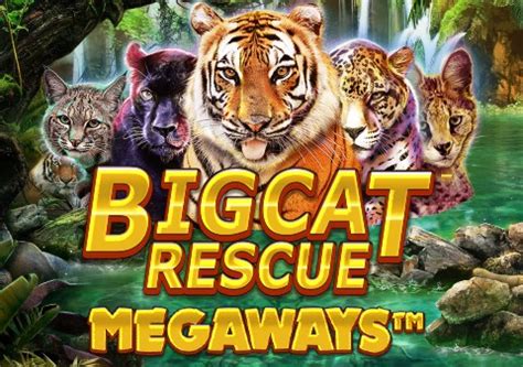  “Big Cat Rescue Megaways” ýeri
