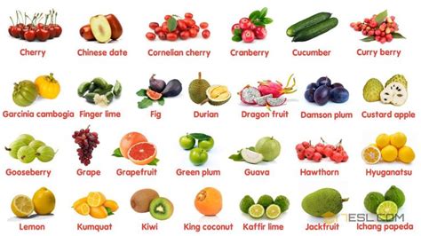  100 Pin-Up Fruits ұяшығы