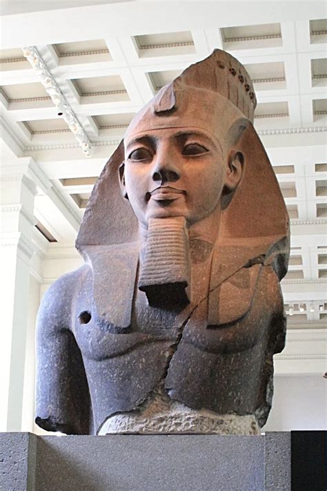  40 Yüce Ramses II yuvası